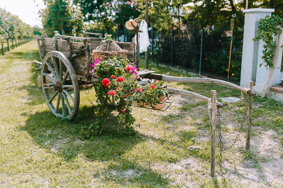 Un matrimonio tra le vigne